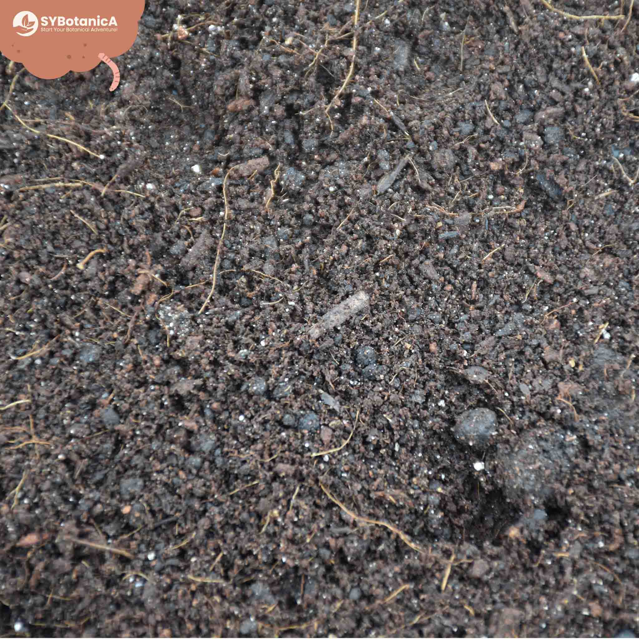Base Mix - Image 4