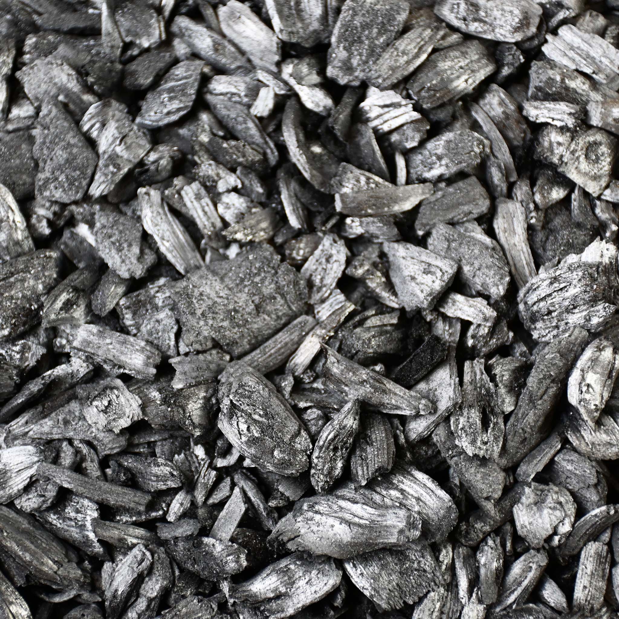BIOChar