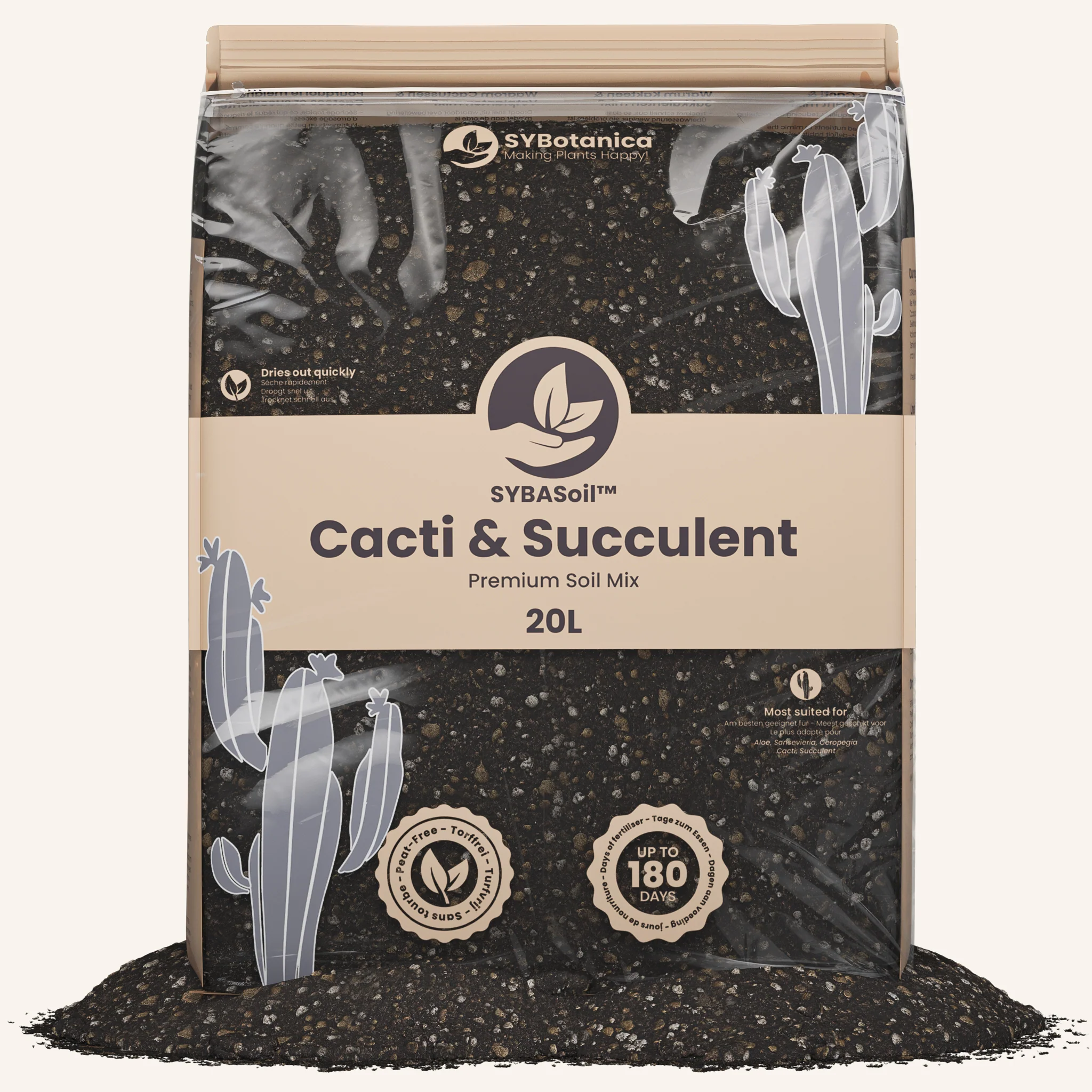 Cacti & Succulent Mix - Image 6