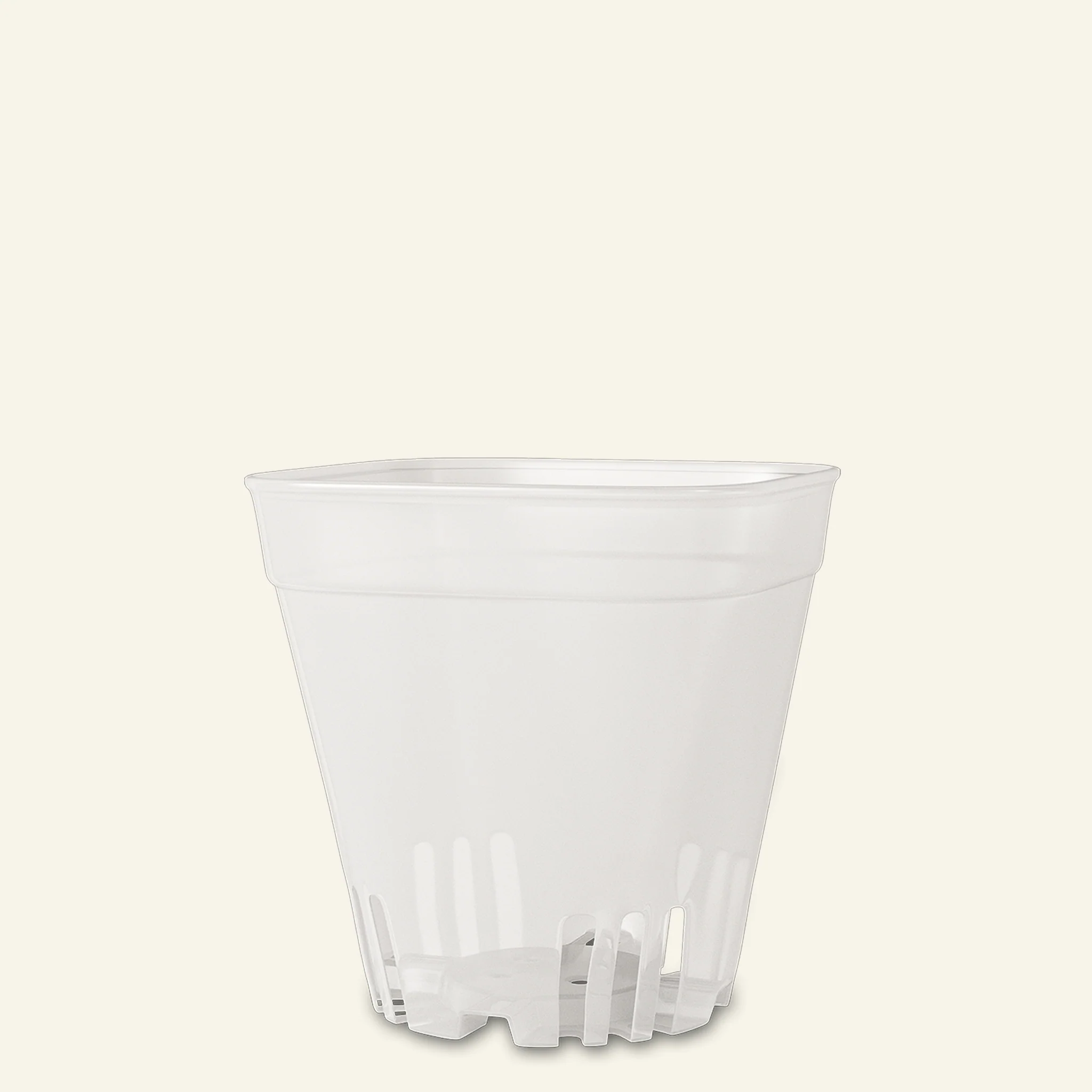 Clear Cacti & Succulent Plant Pot - Image 4