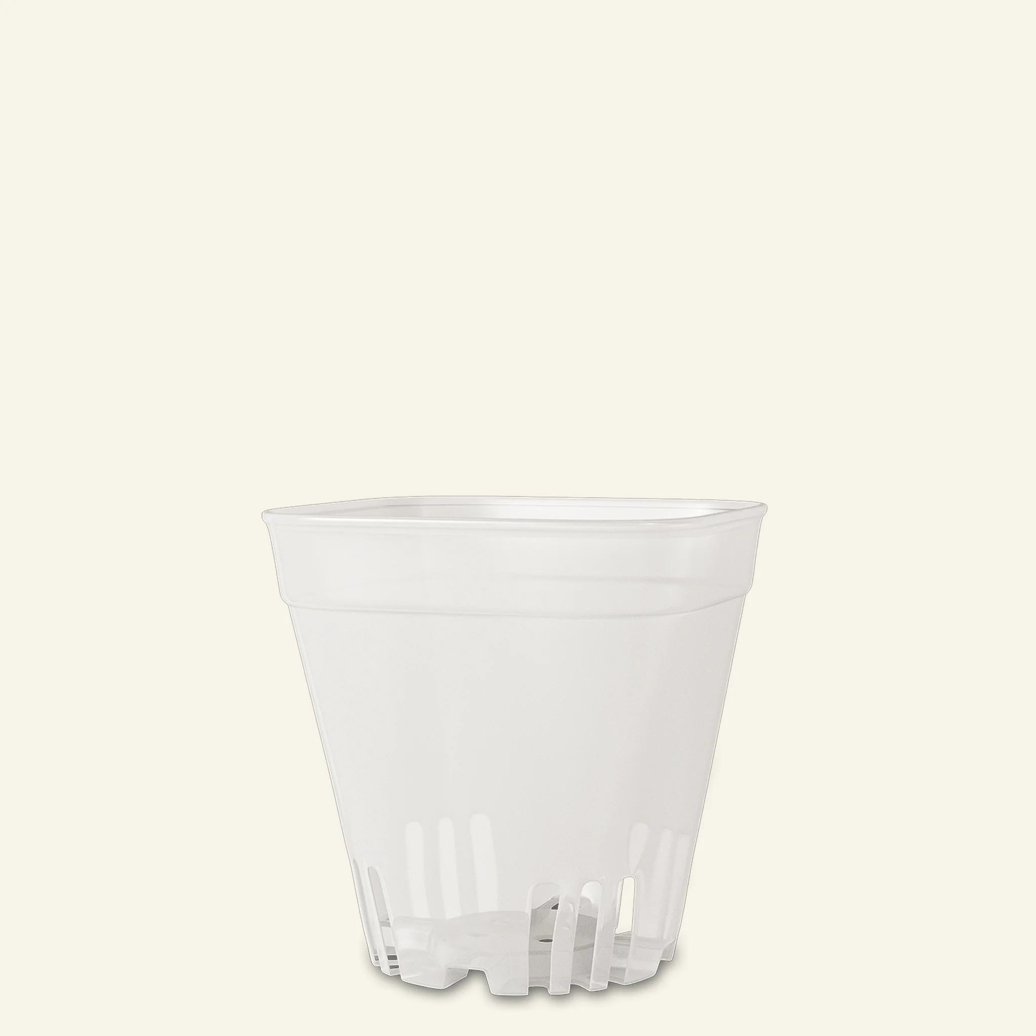 Clear Cacti & Succulent Plant Pot - Image 5