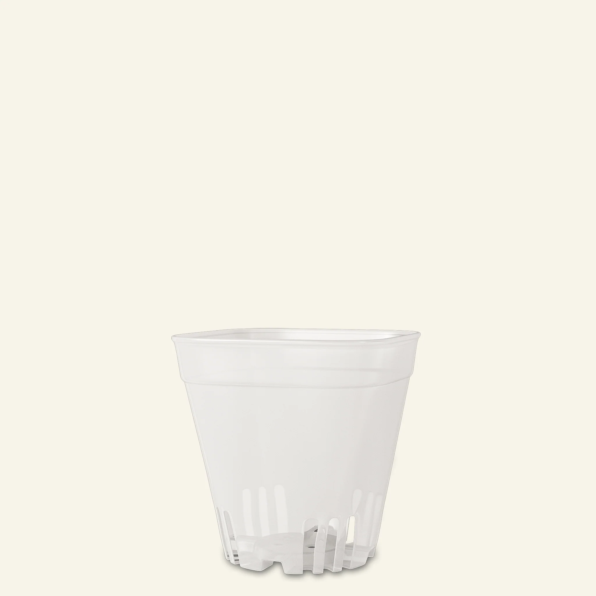 Clear Cacti & Succulent Plant Pot - Image 6
