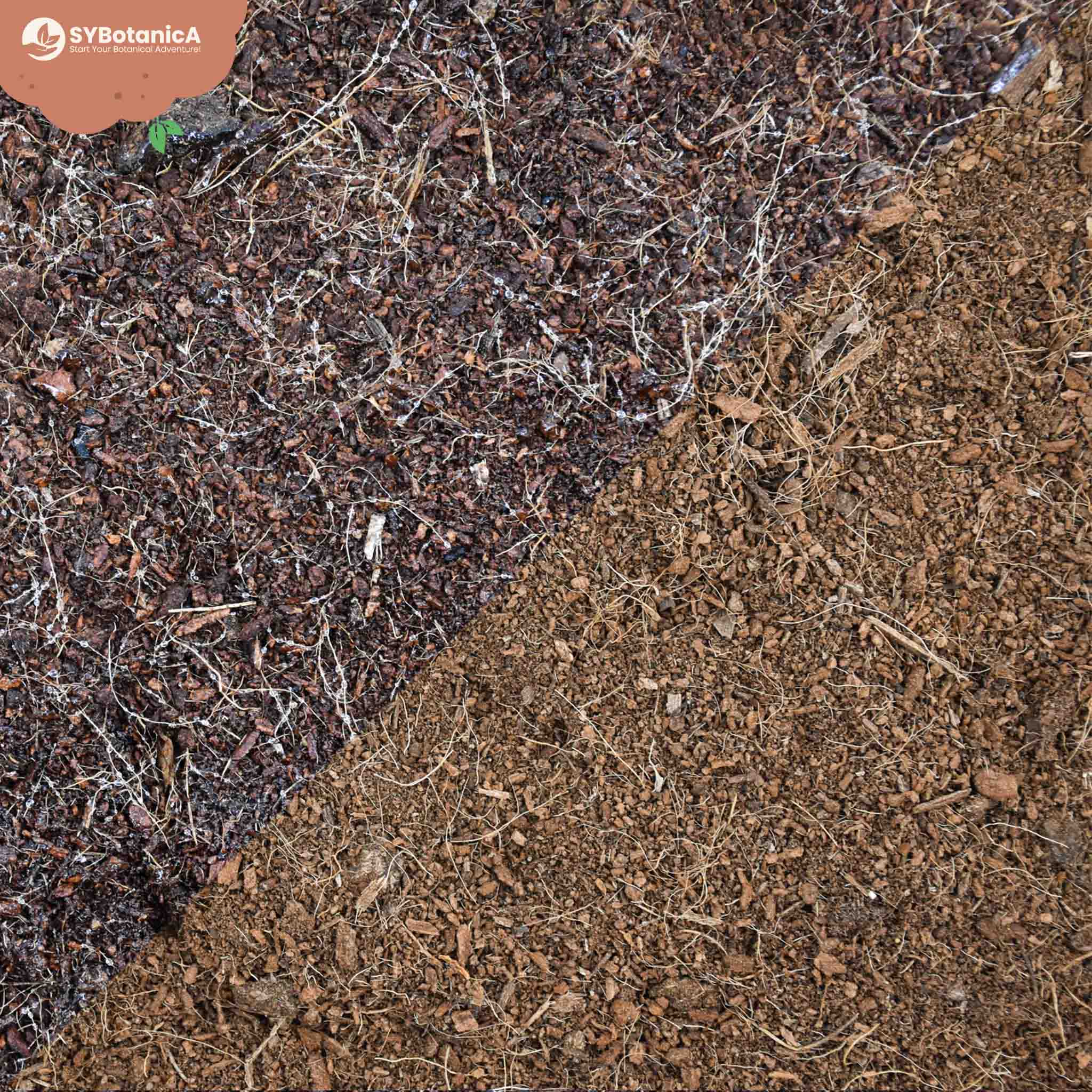 Coco Coir - Image 3