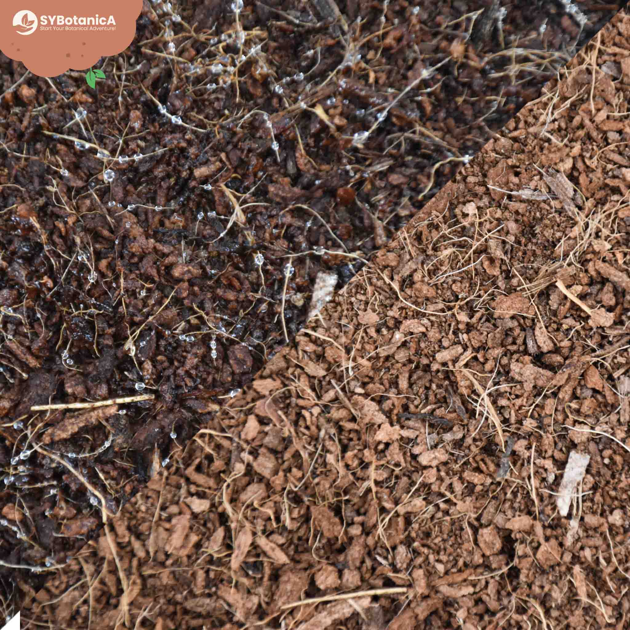 Coco Coir - Image 4