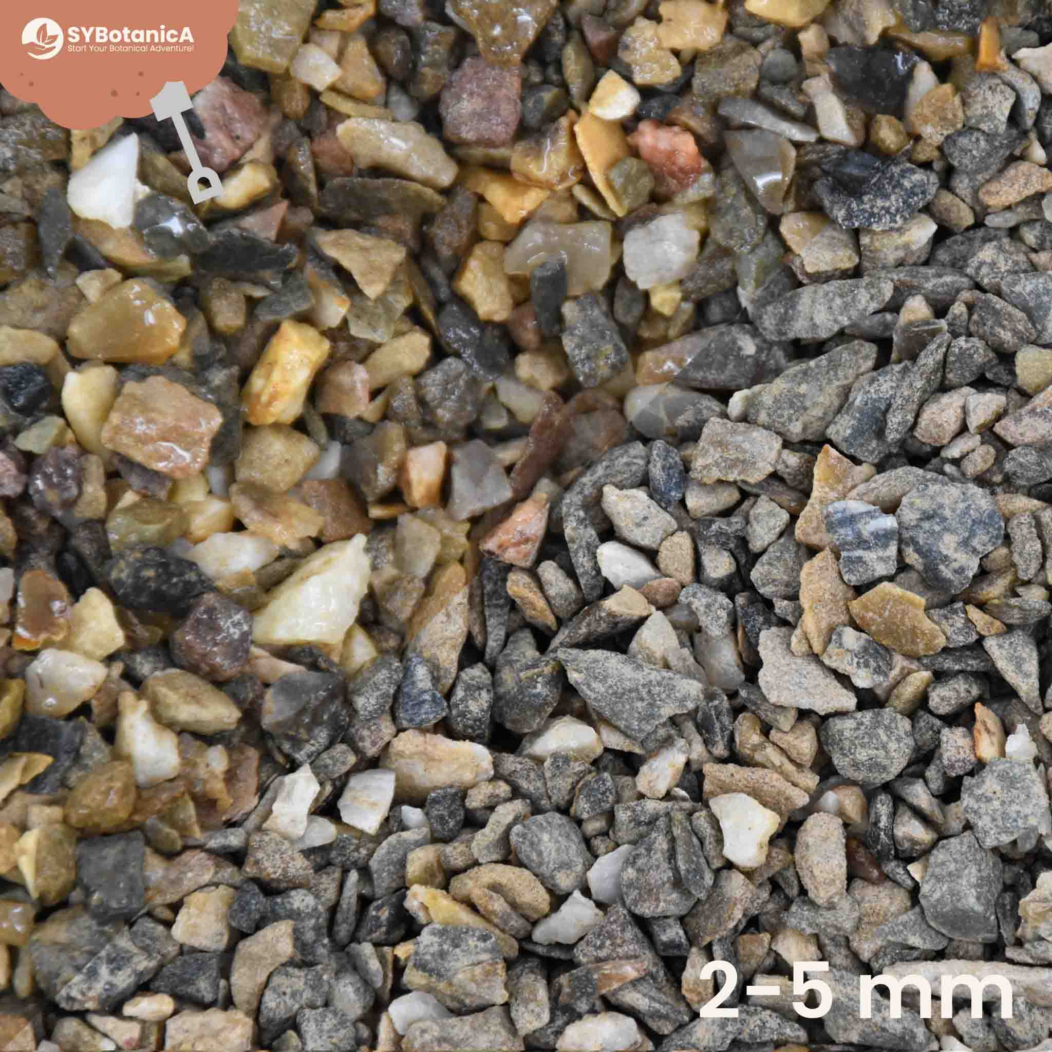 Grit - Image 3