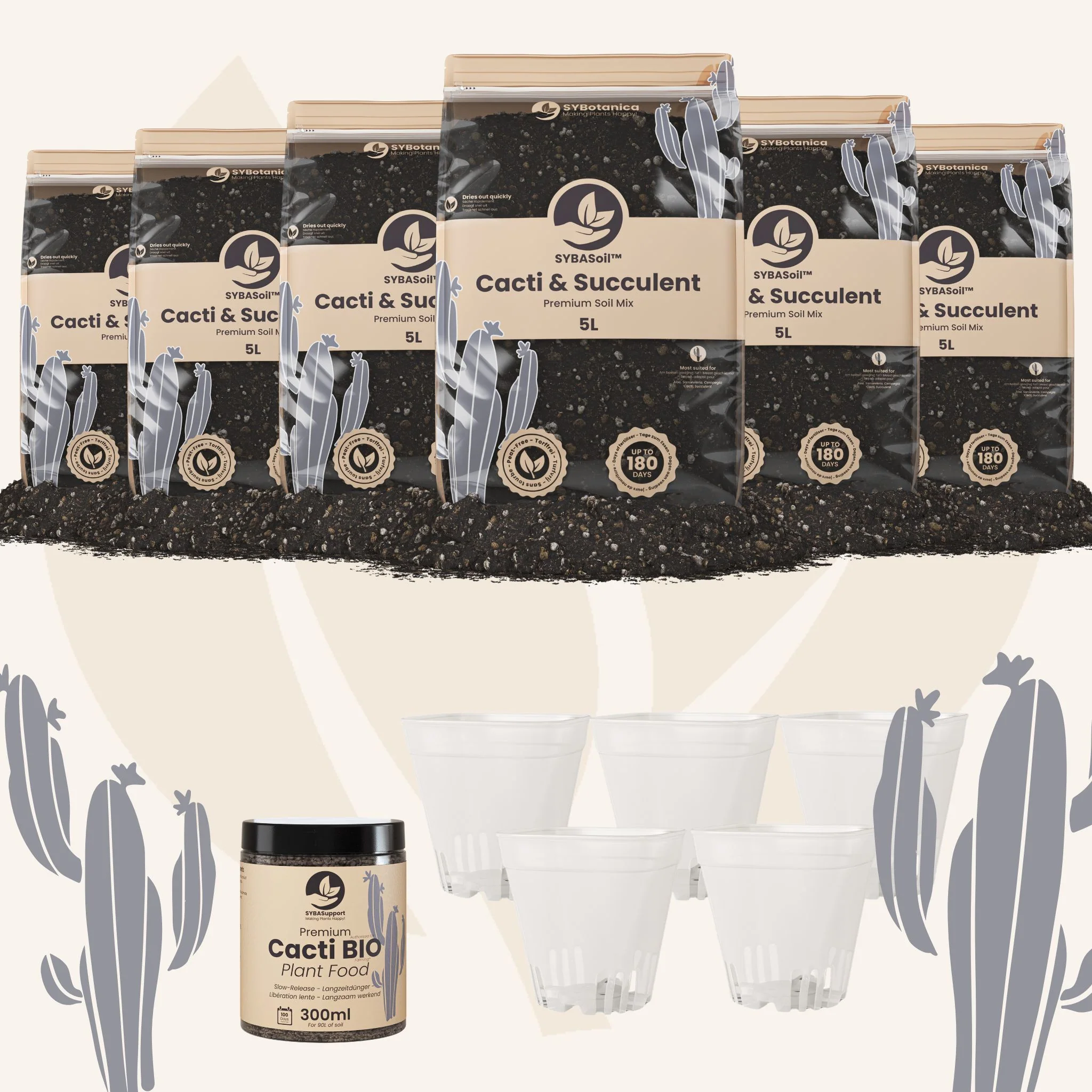Cacti & Succulent Welcome Bundle - Image 3