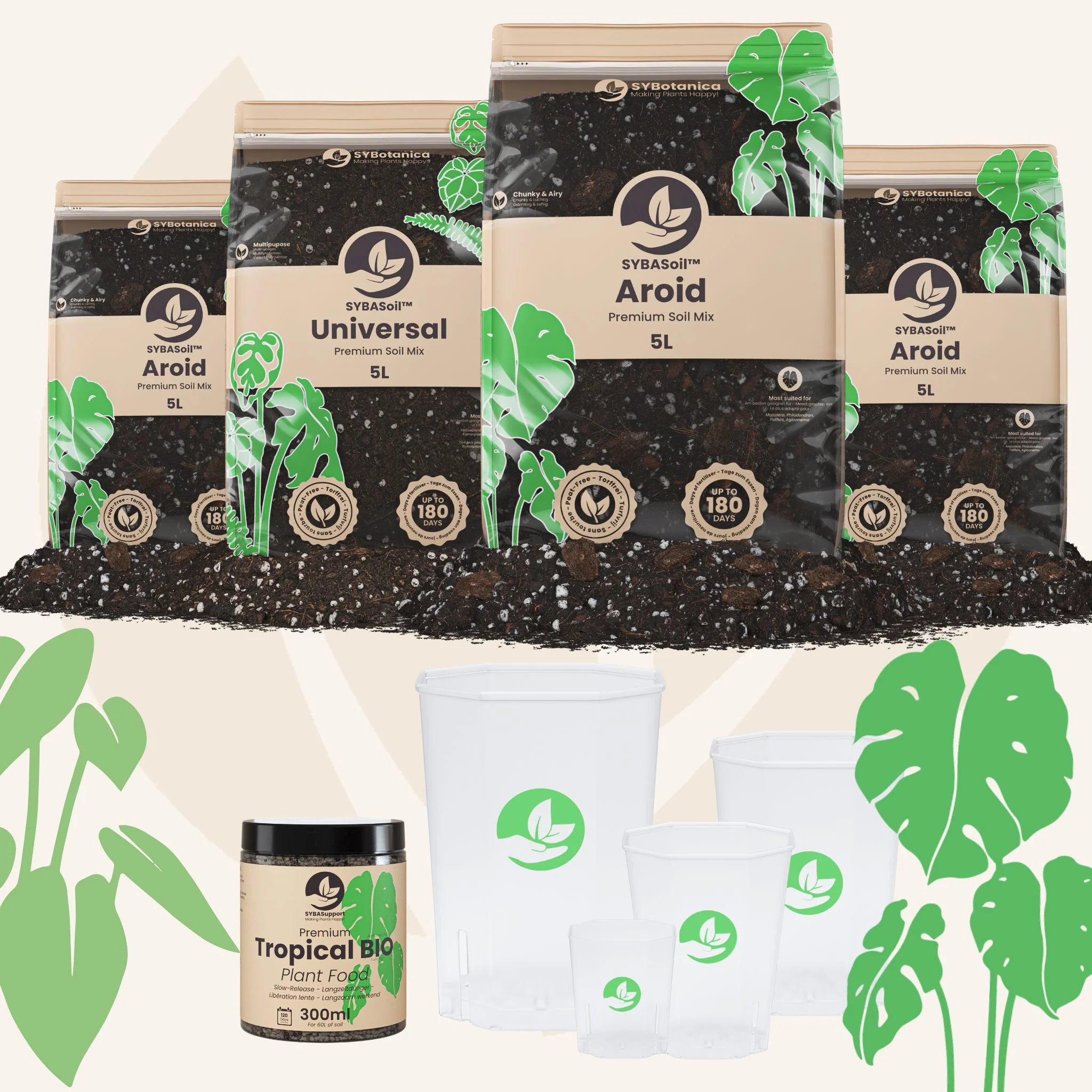 Monstera & Philodendron Welcome Bundle - Image 4