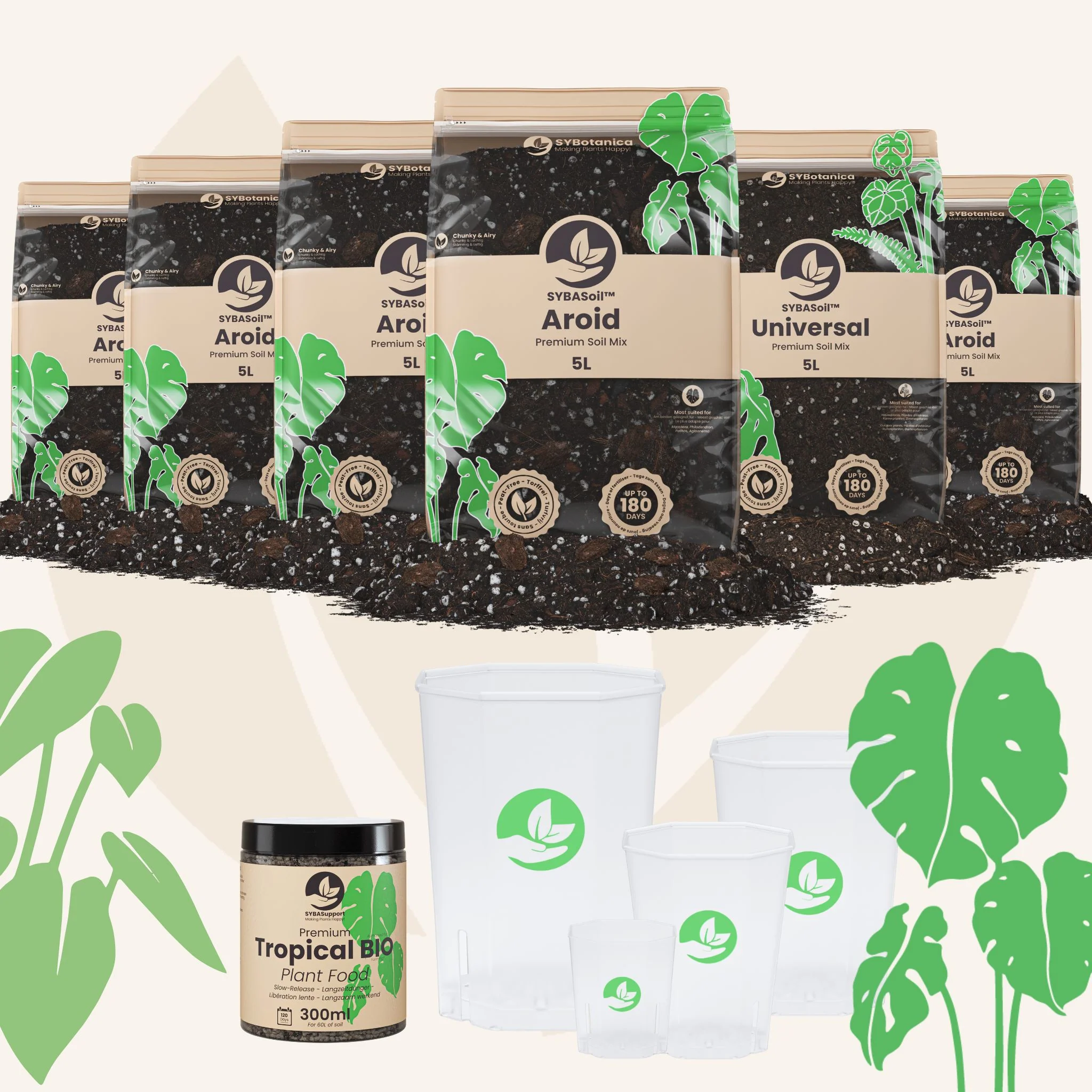 Monstera & Philodendron Welcome Bundle - Image 5