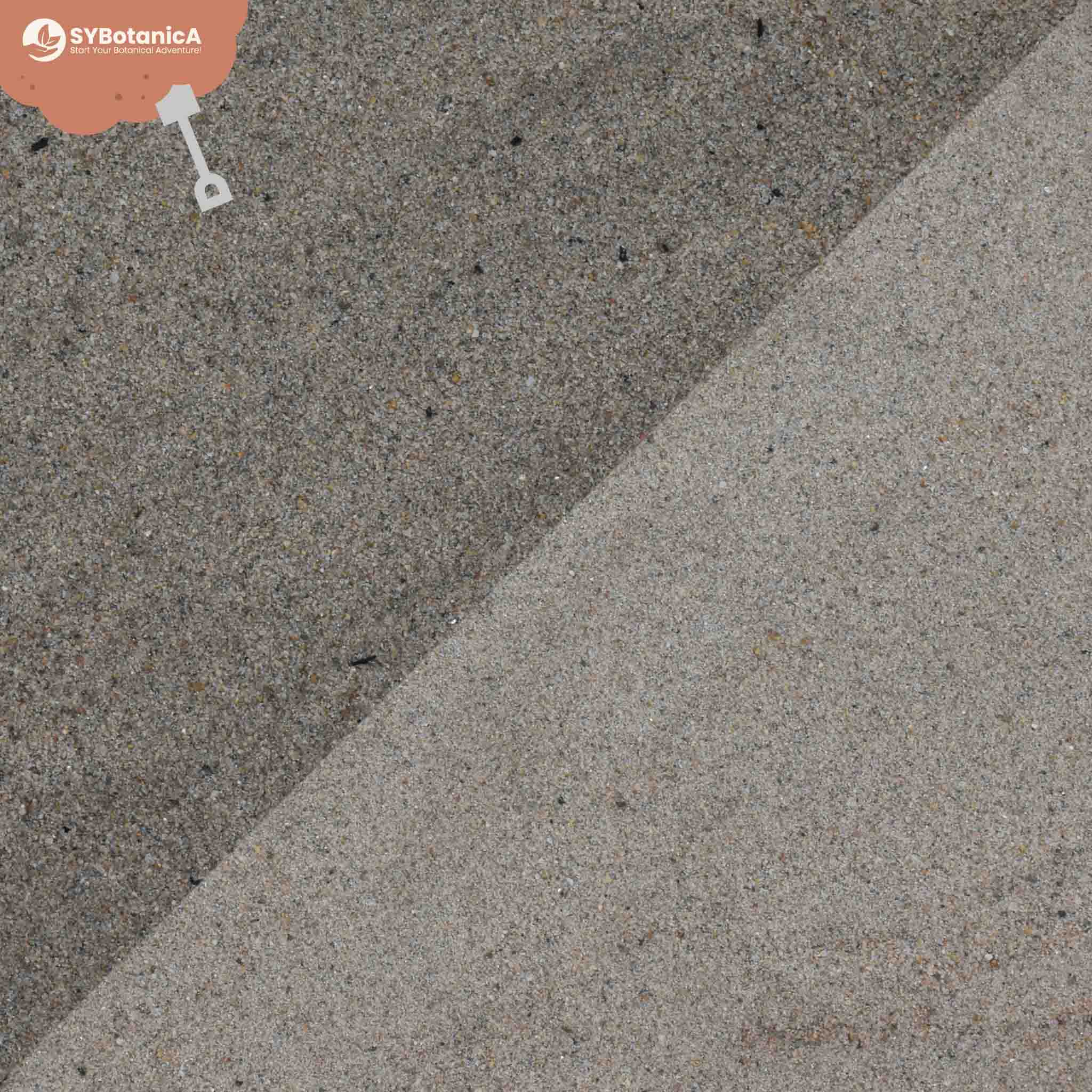 Horticultural Sand - Image 3