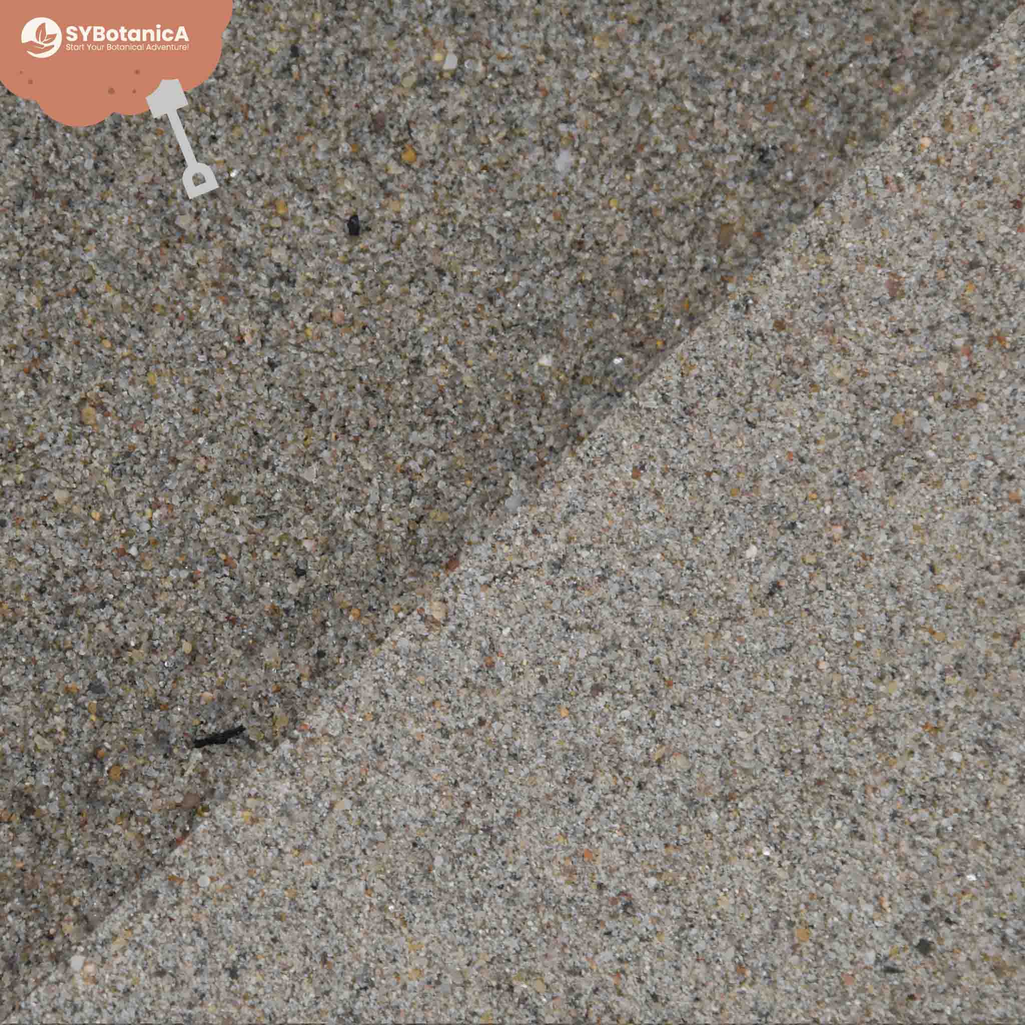 Horticultural Sand - Image 4