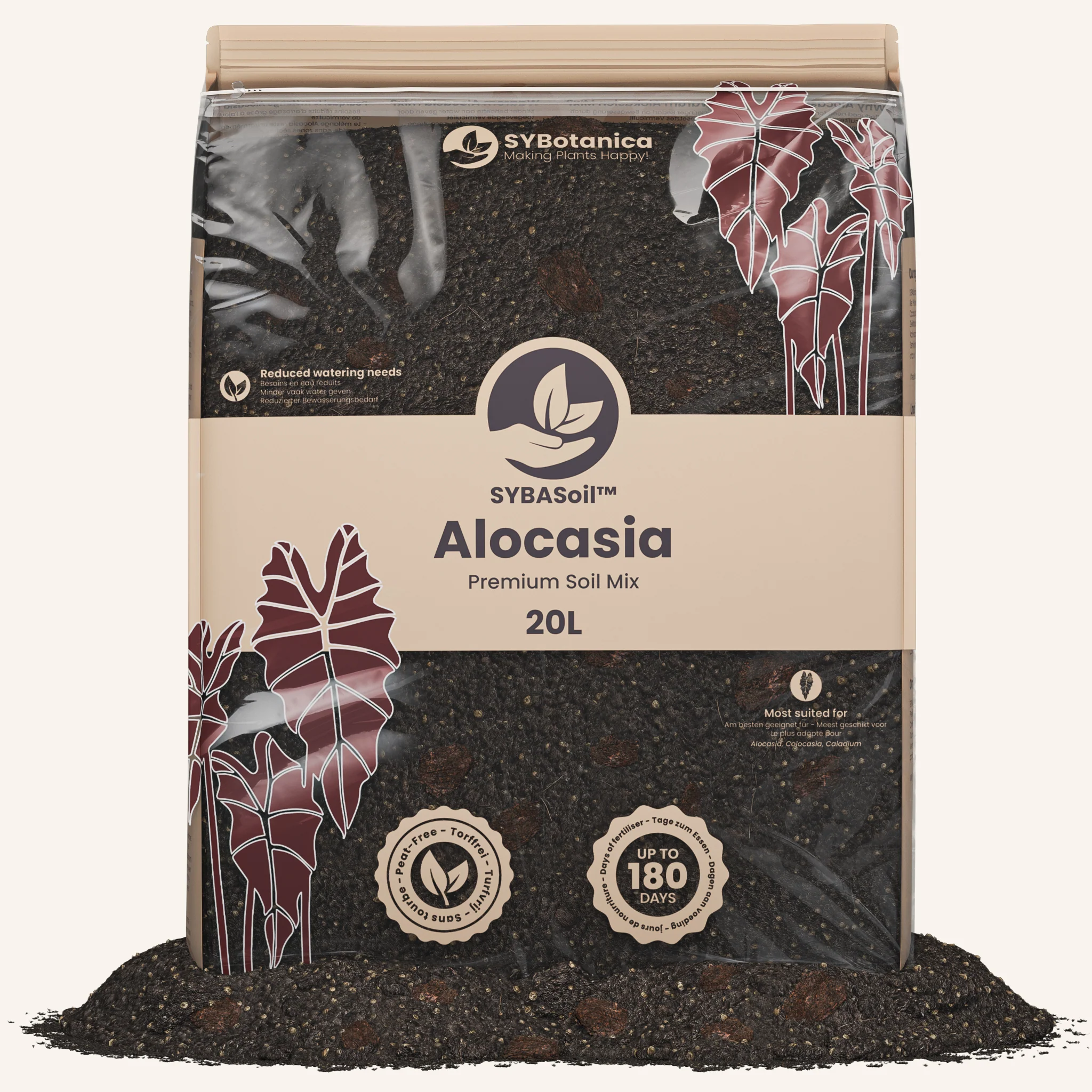 Alocasia Mix - Image 8