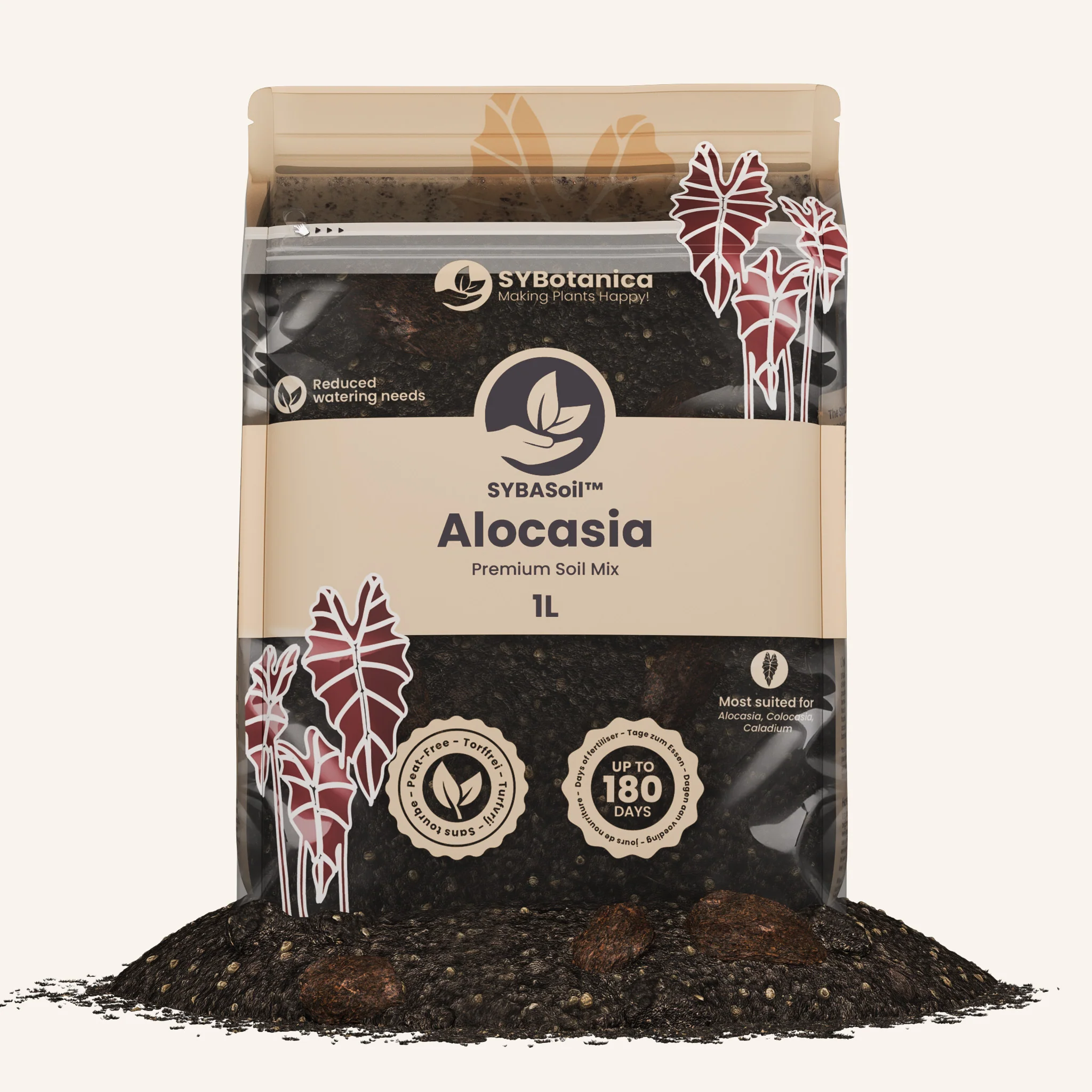Alocasia Mix - Image 9