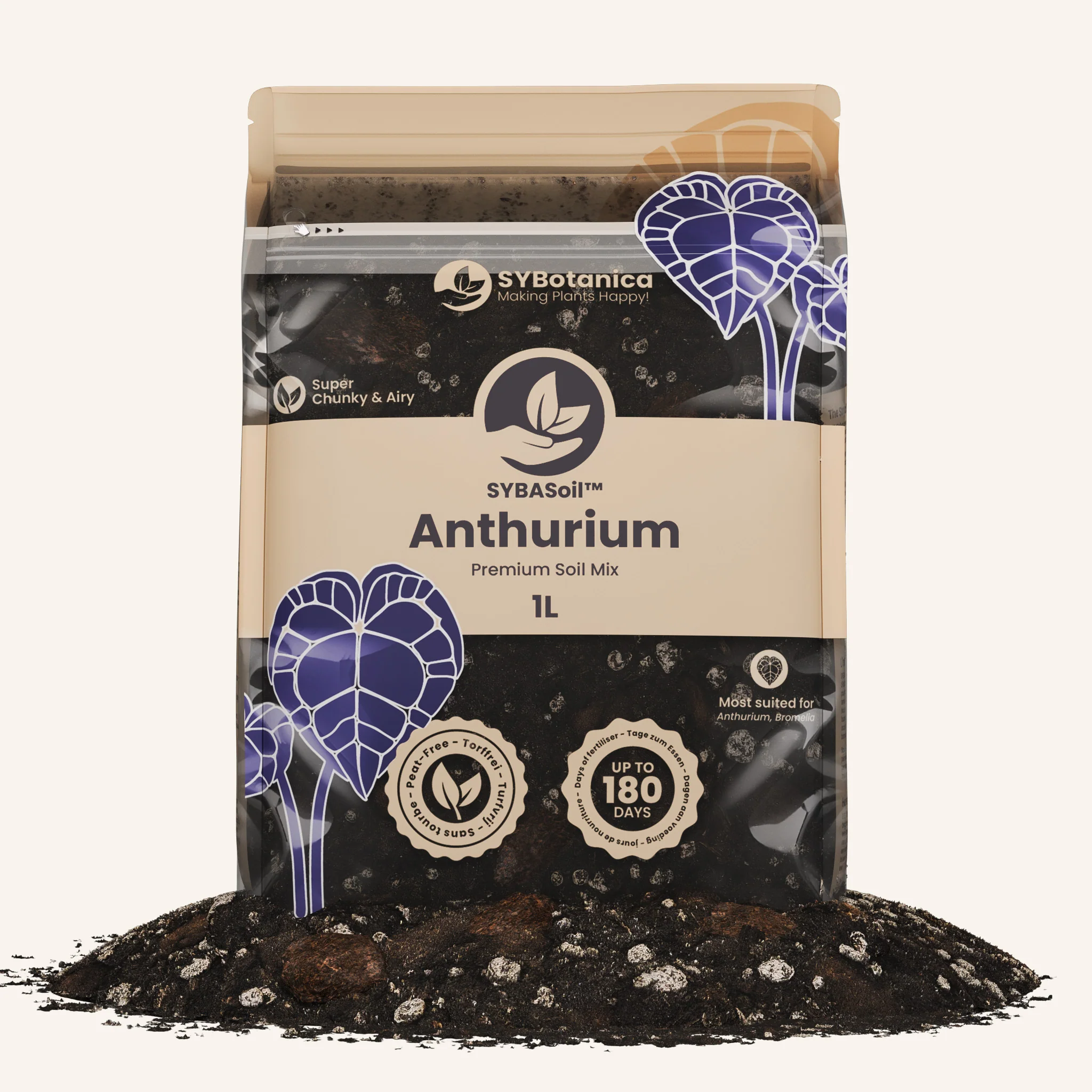 Anthurium Mix - Image 5