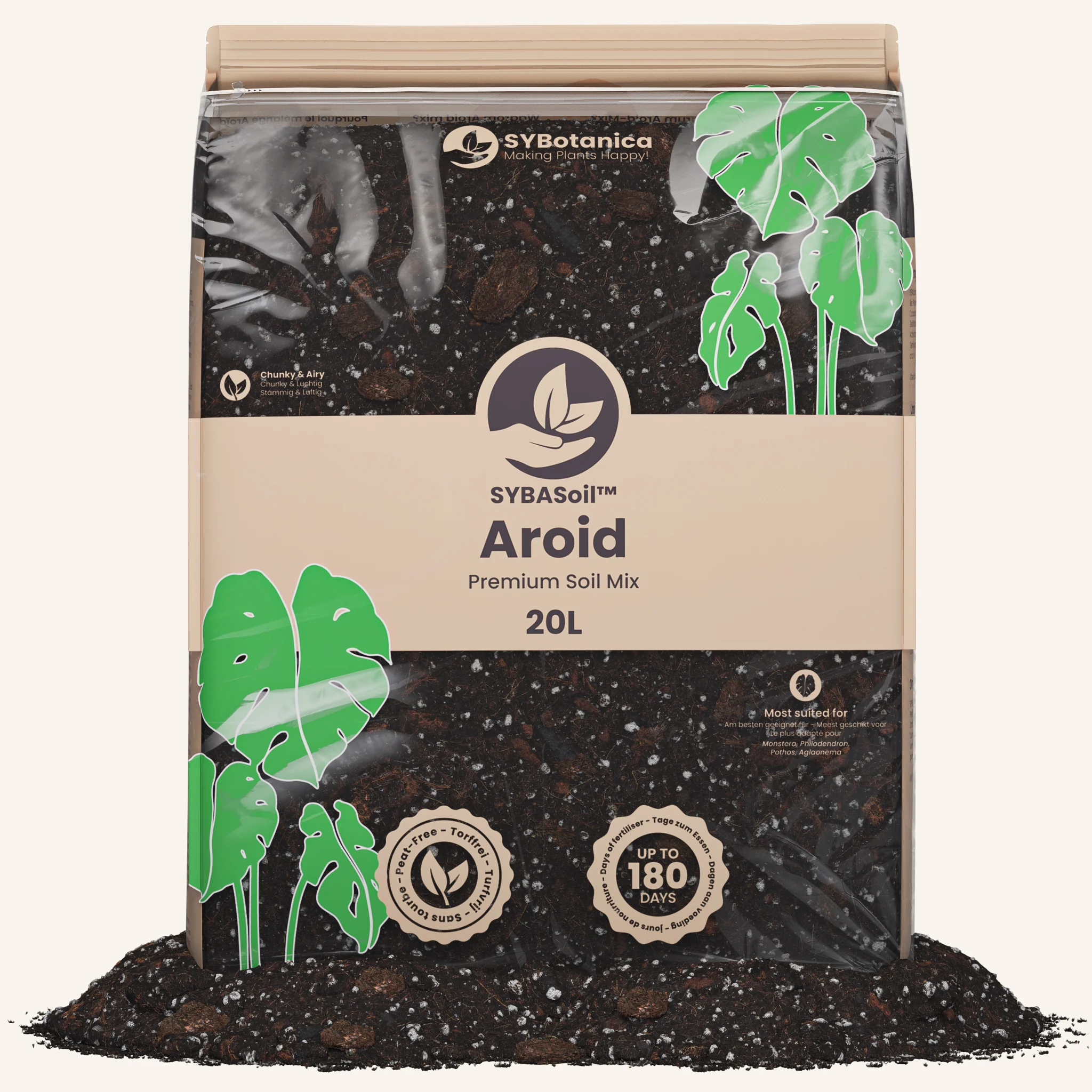 Aroid Mix (Monstera e.t.c.) - Image 6
