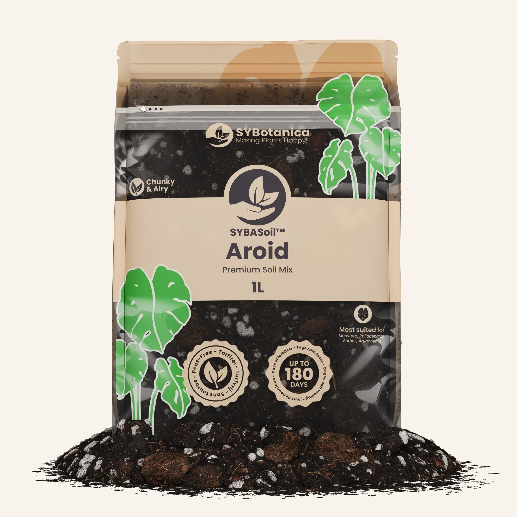 Aroid Mix (Monstera e.t.c.) - Image 7