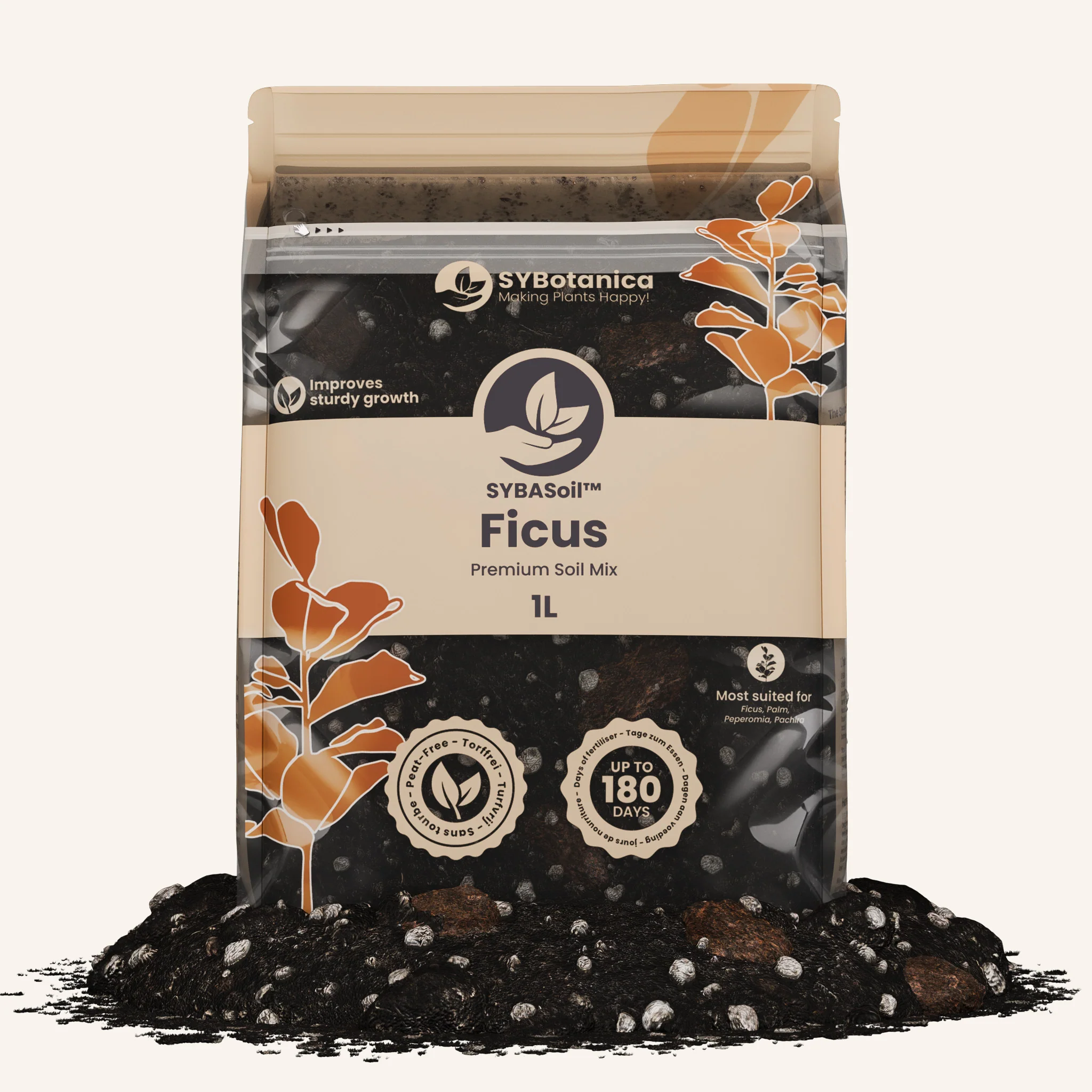 Ficus Mix - Image 4