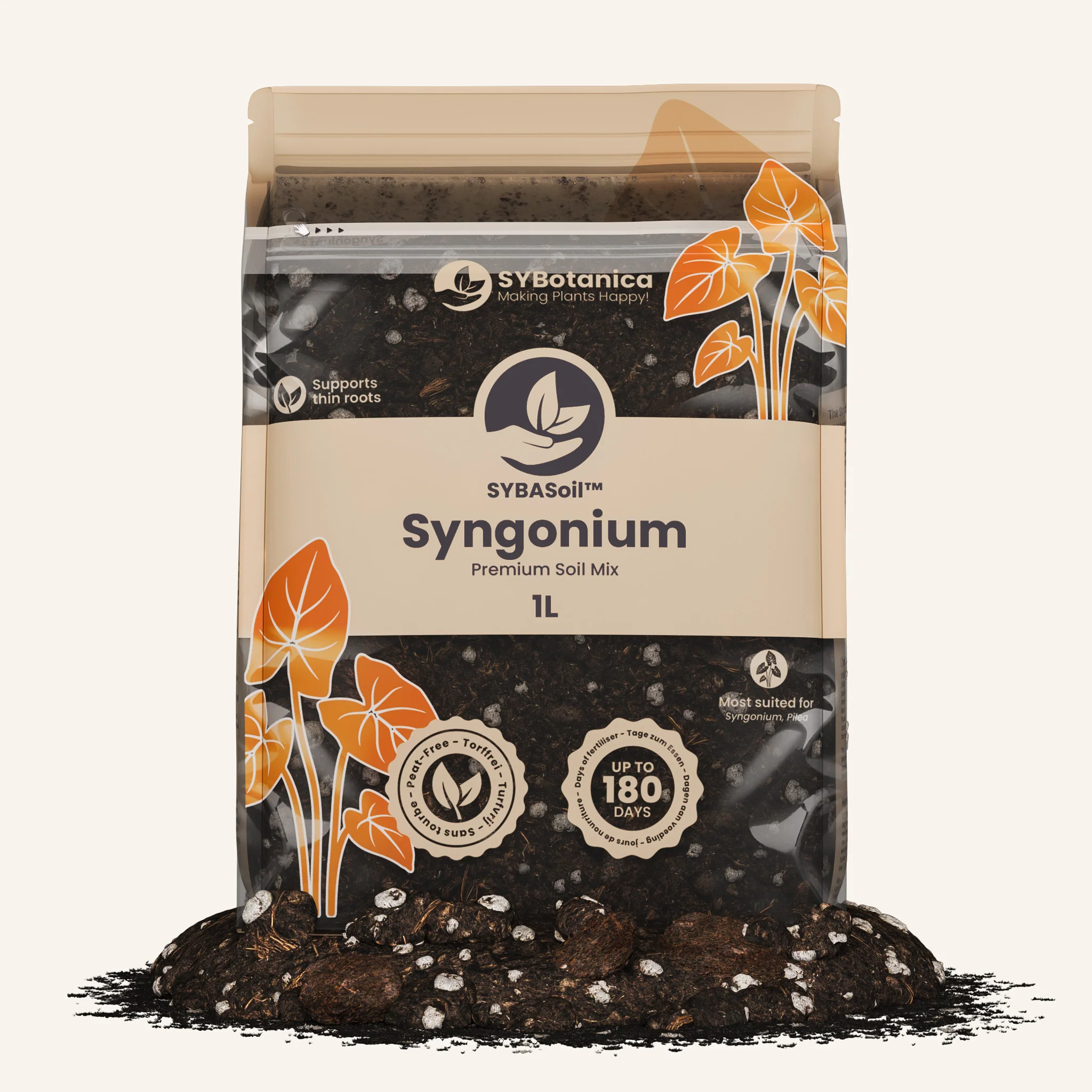 Syngonium Mix - Image 7