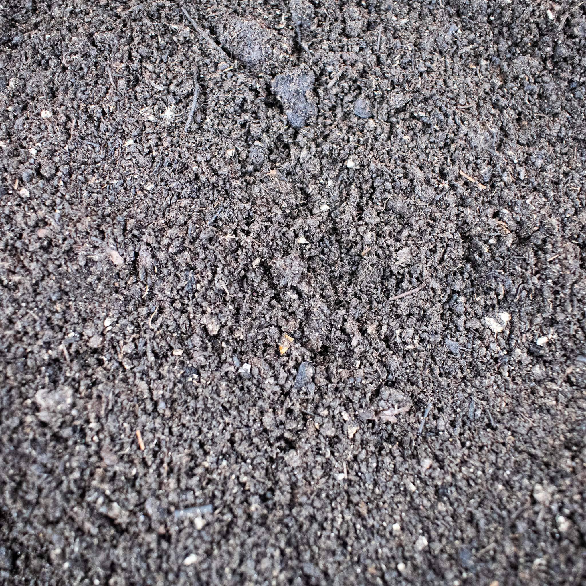 Worm Castings - Image 3