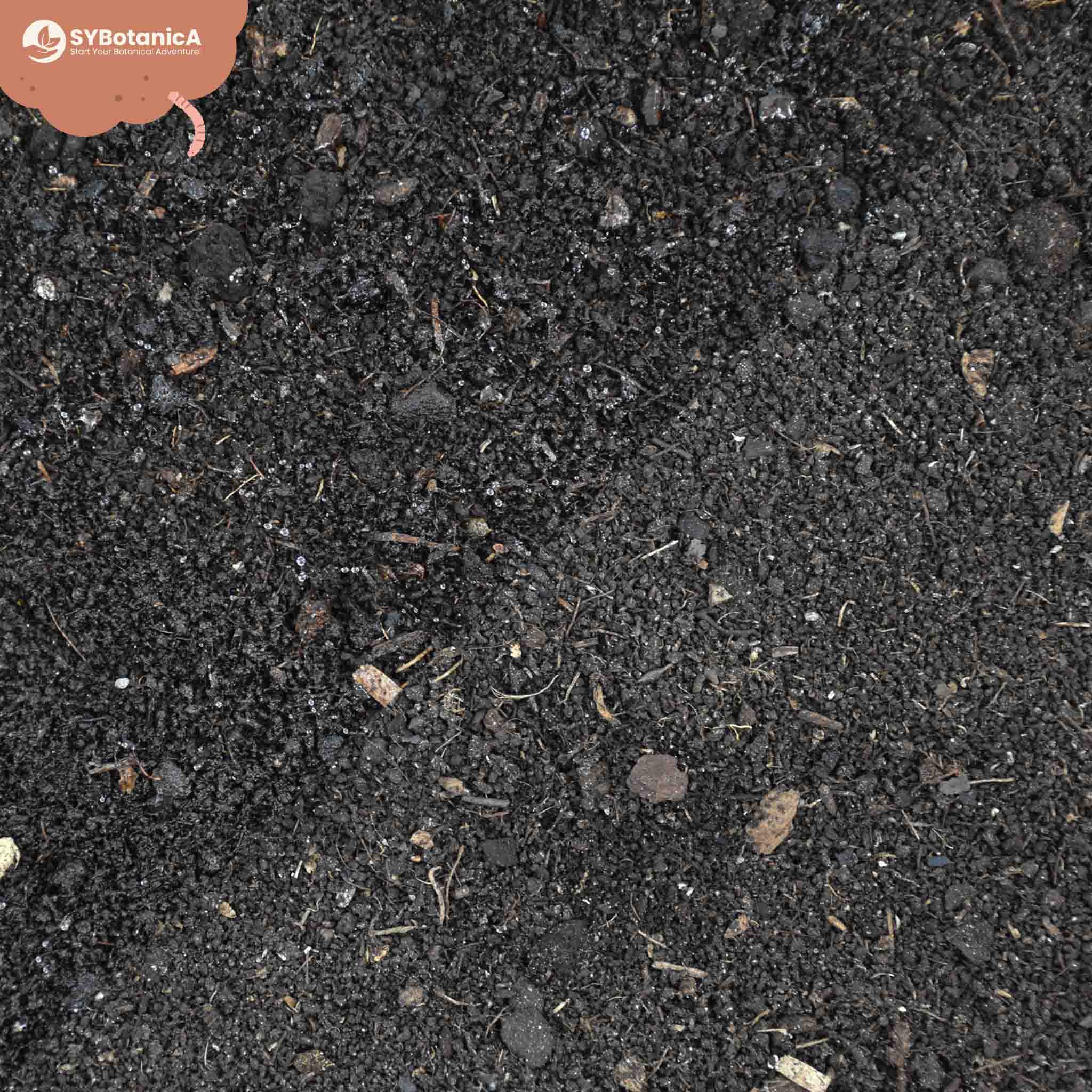 Worm Castings - Image 5