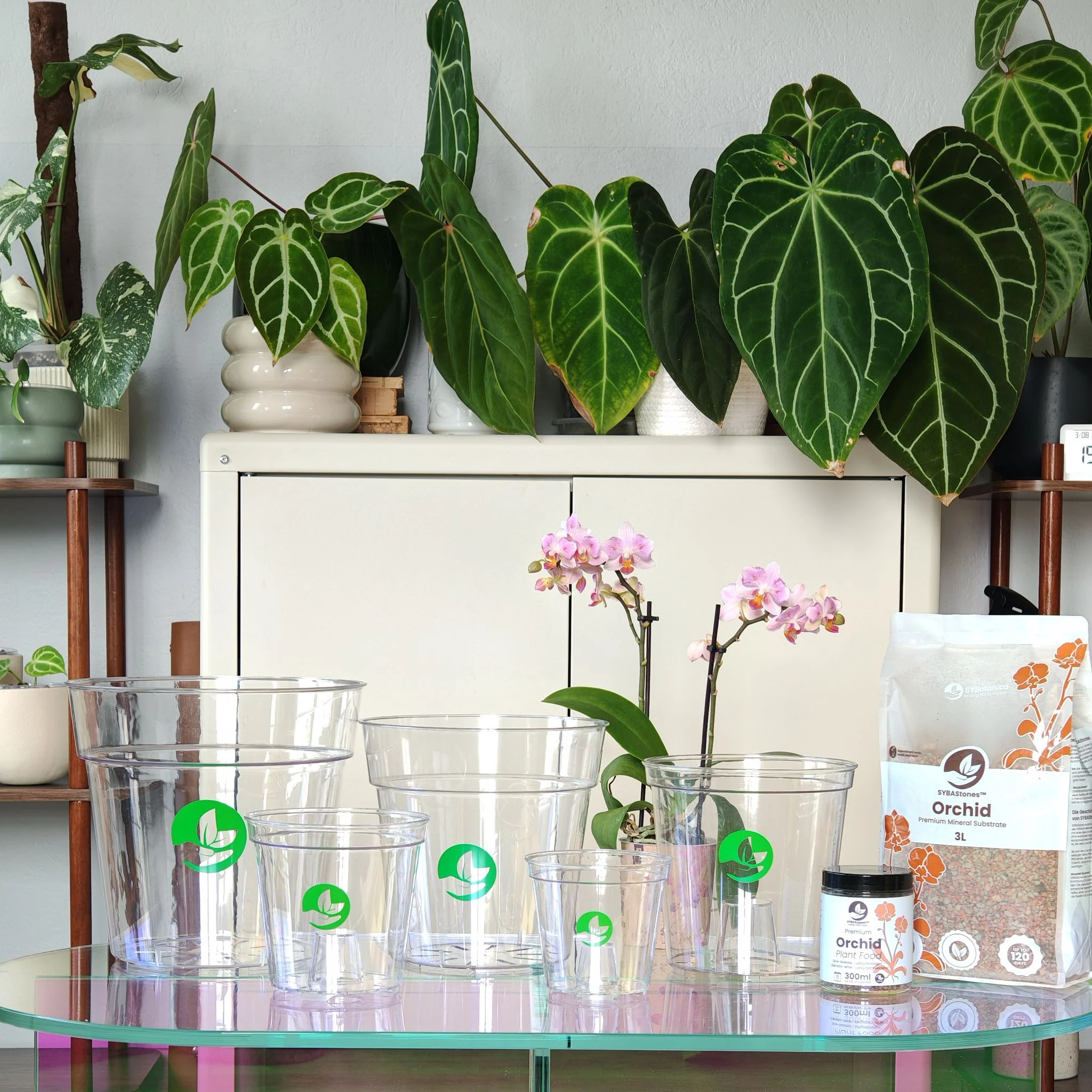 PRISM Clear Plant Pots - Image 3