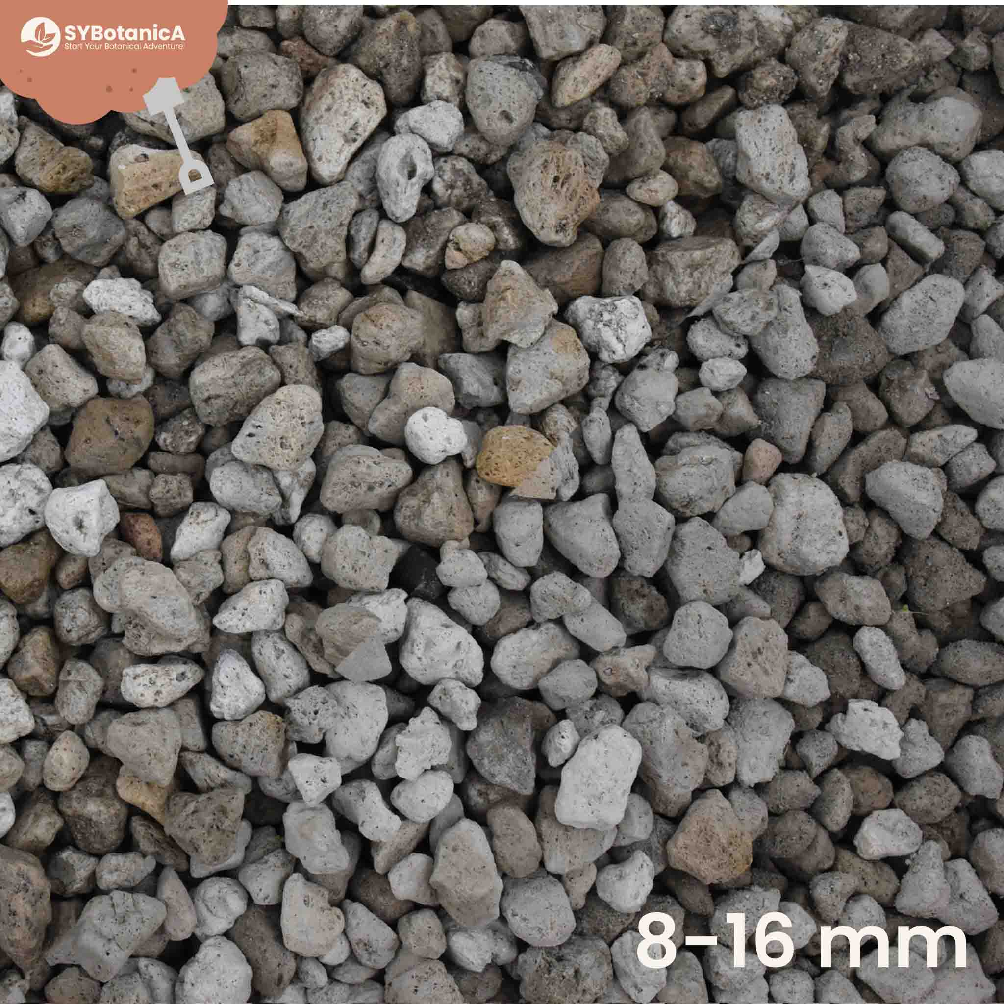 Pumice - Image 4