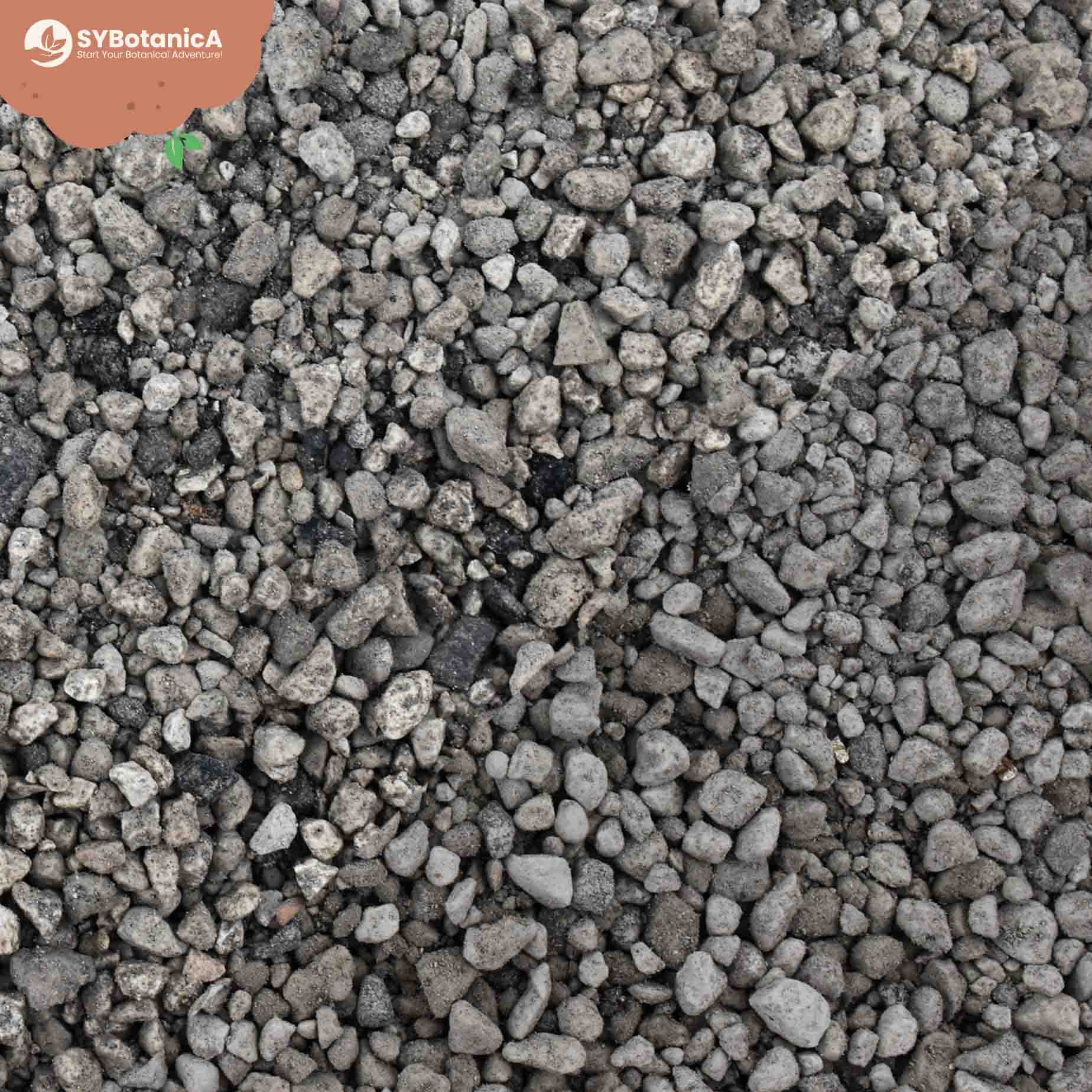 Pumice - Image 5