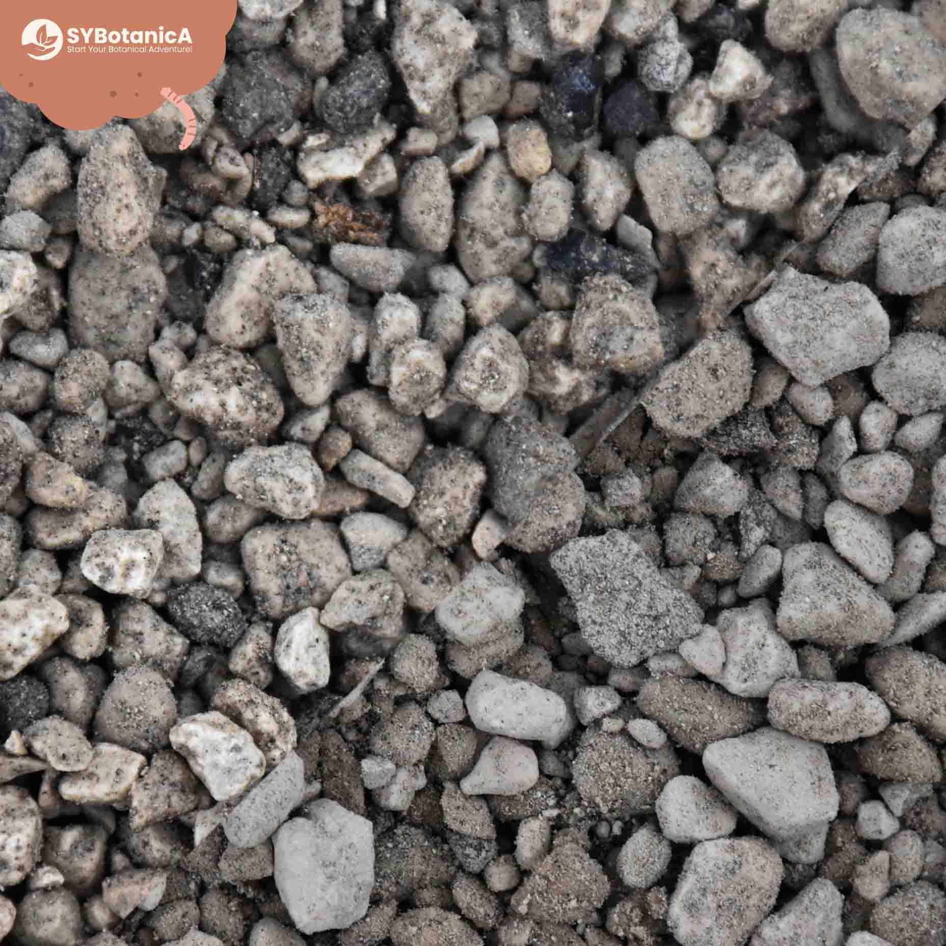 Pumice - Image 6