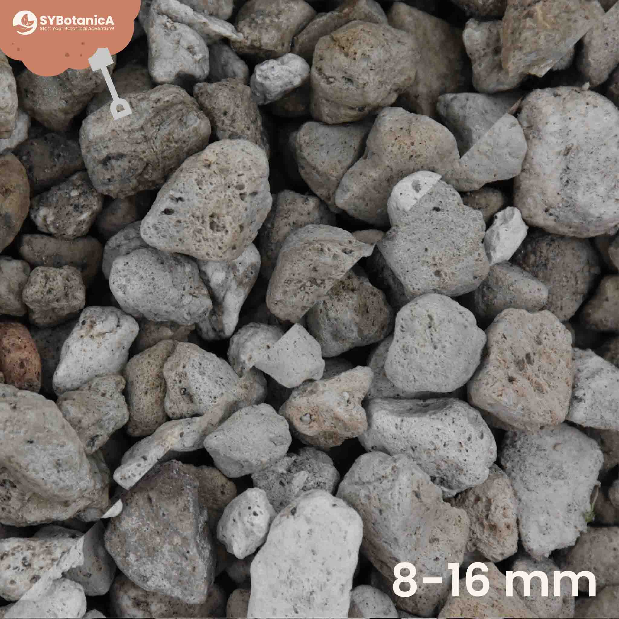 Pumice - Image 7