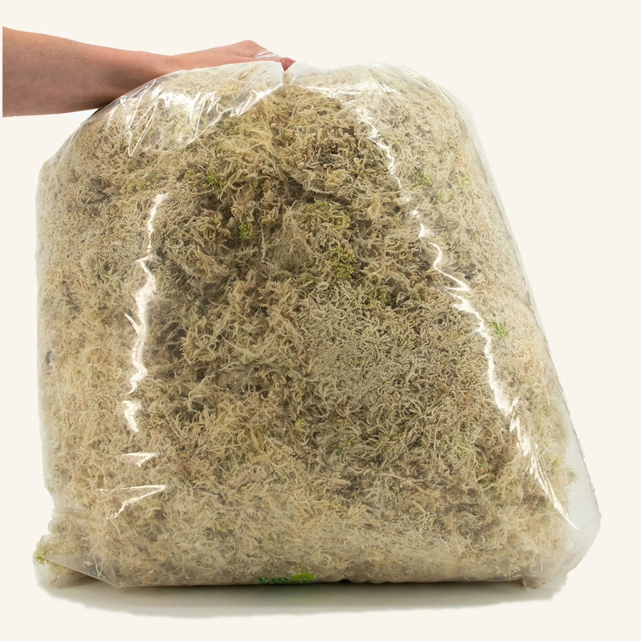 Sphaxx (Indoor Grown Sphagnum) - Image 4