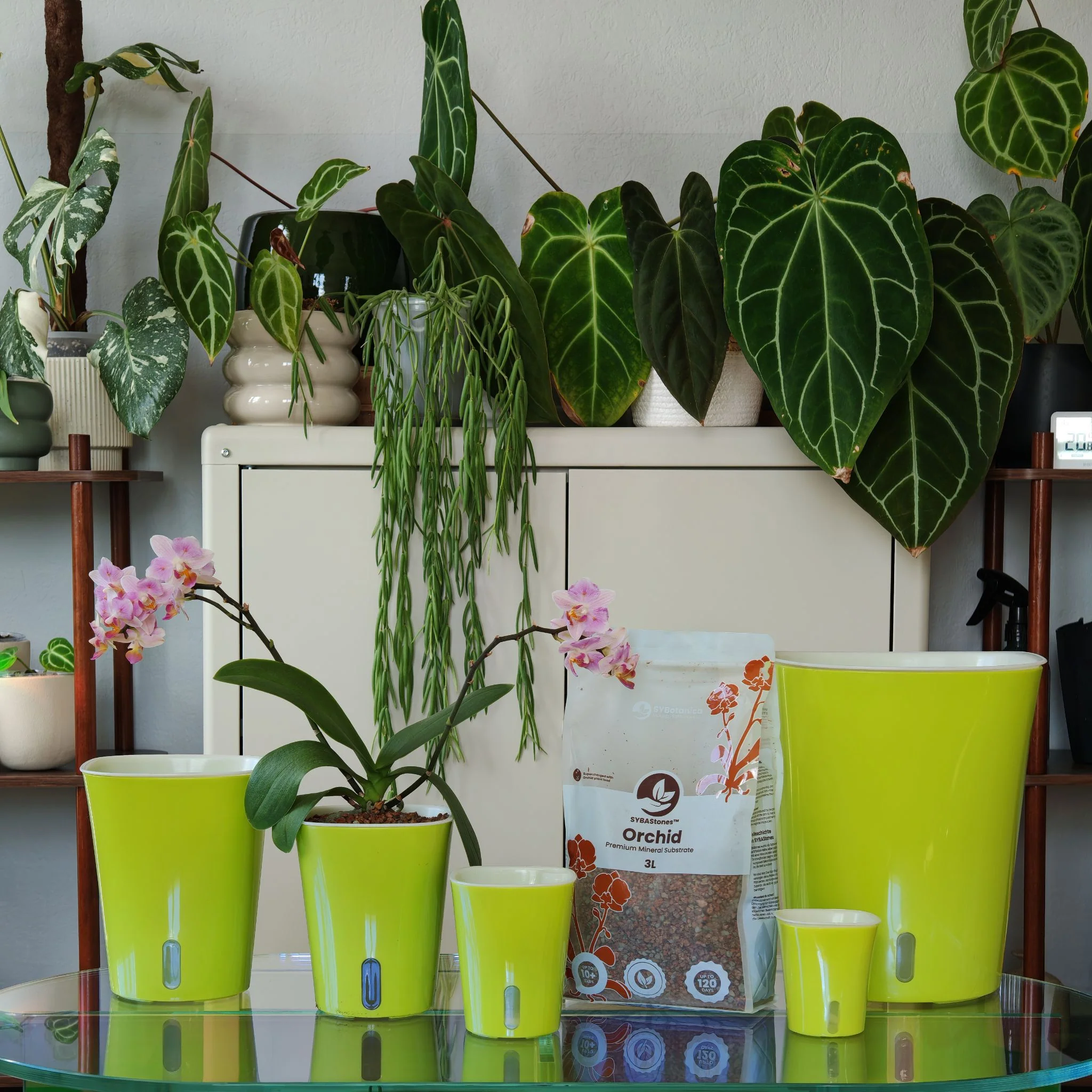 Square Self-Watering Plant Pots - Image 3