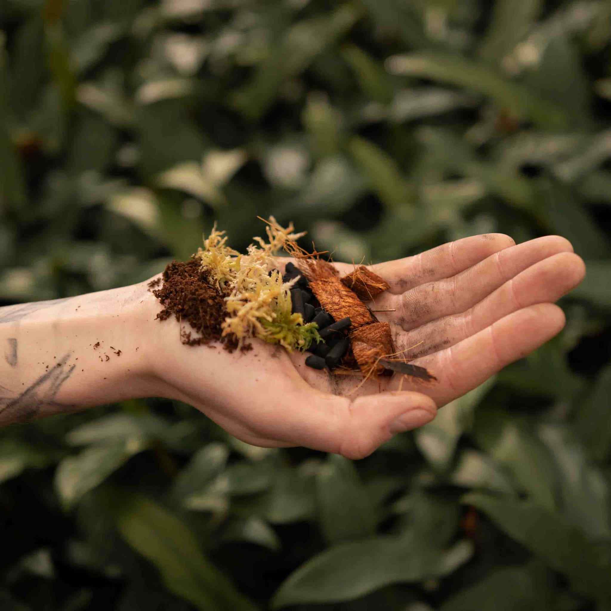 Terrarium Mix - Image 3