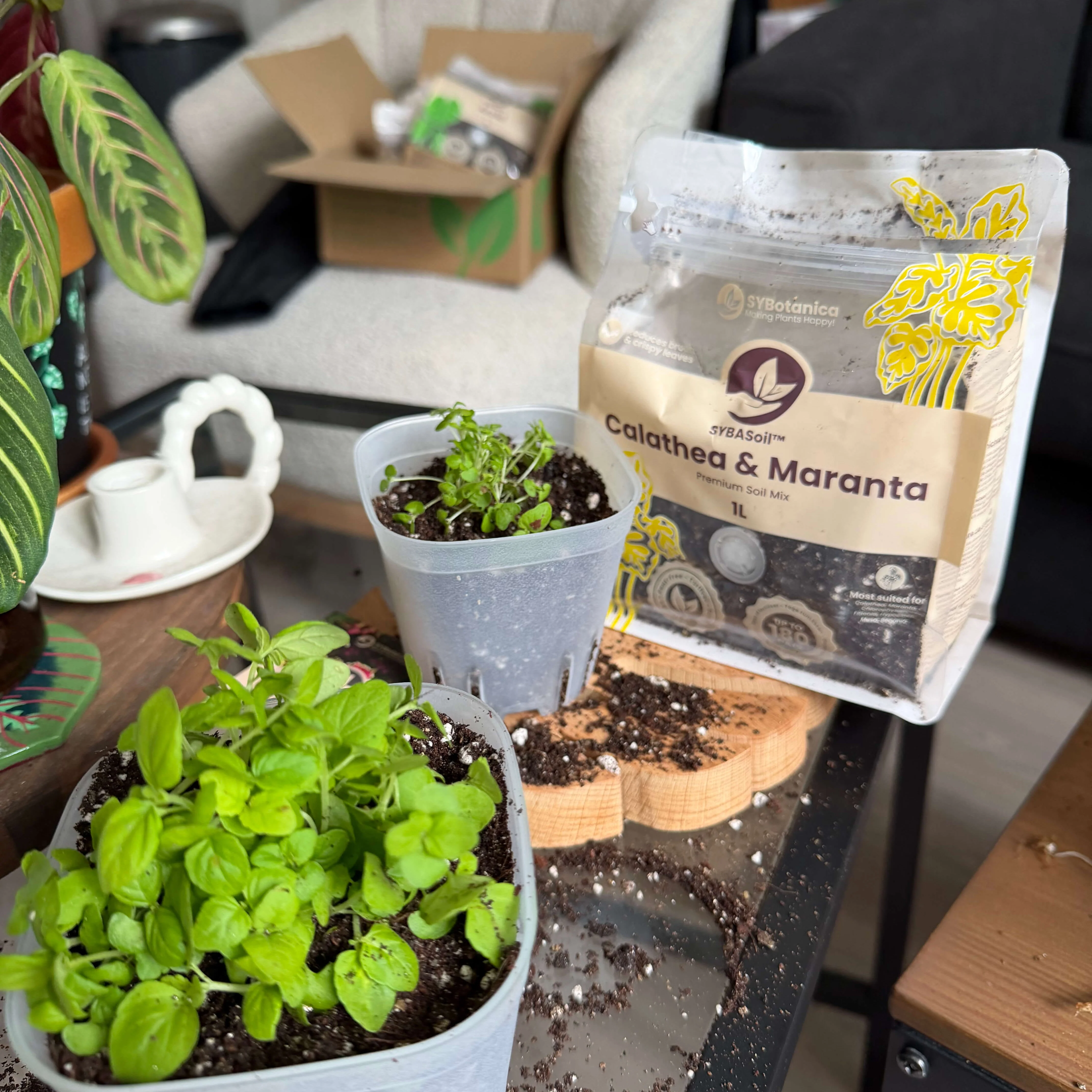 The Soil Discovery Pack - Image 3